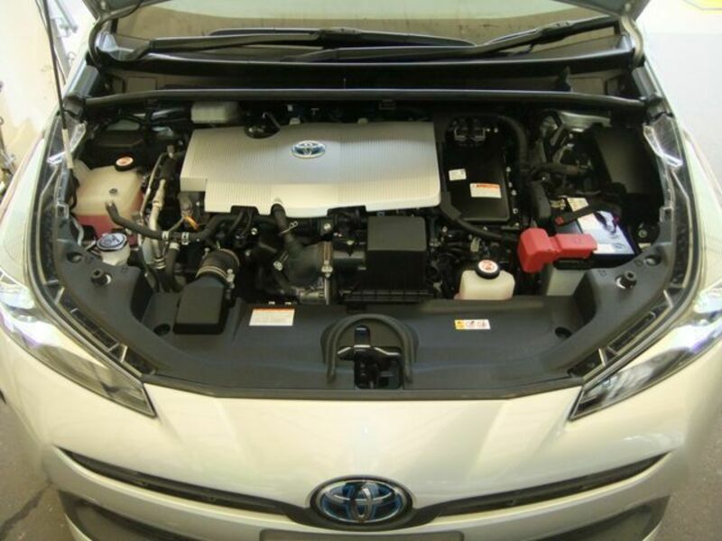 PRIUS-21