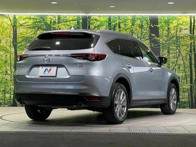 CX-8