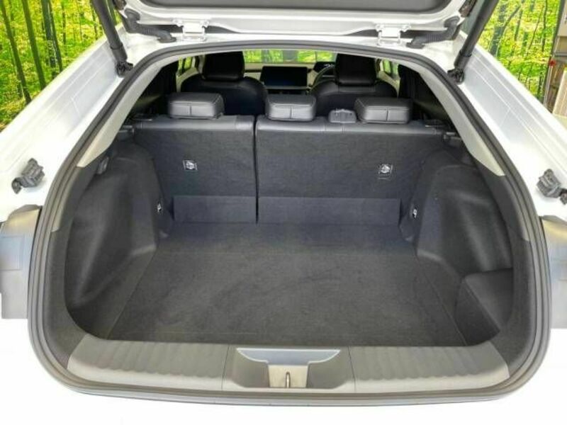 PRIUS-10