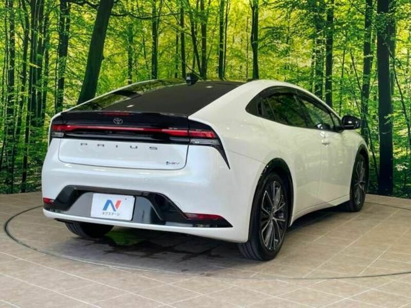 PRIUS-17