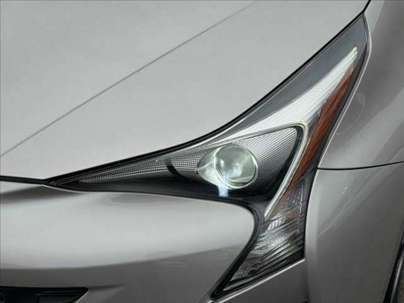 PRIUS-21