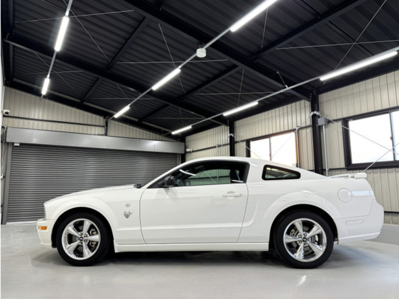 MUSTANG-11