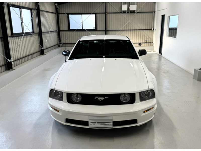 MUSTANG-4