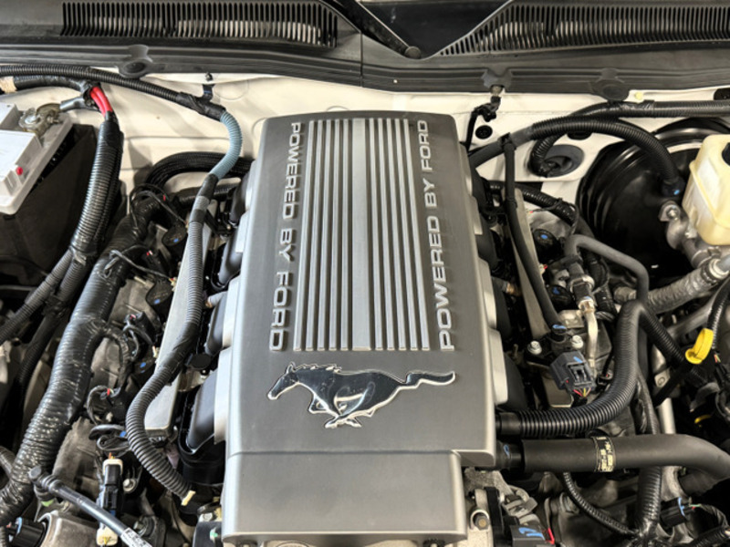 MUSTANG-19