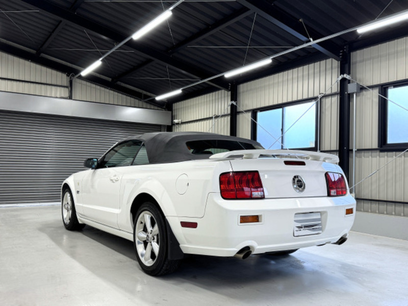 MUSTANG