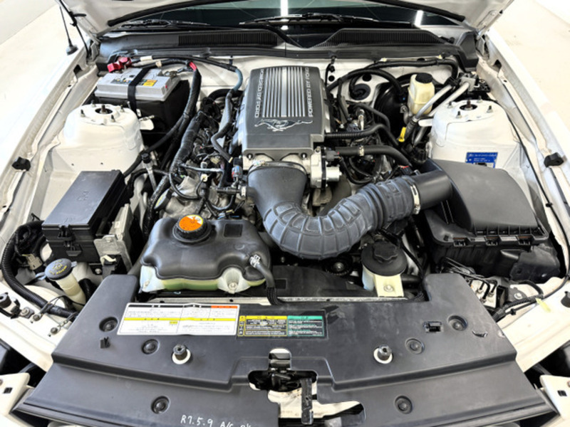 MUSTANG-18