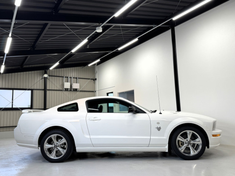 MUSTANG-6