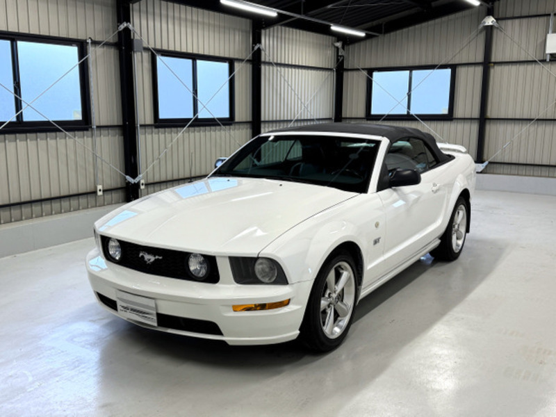 MUSTANG