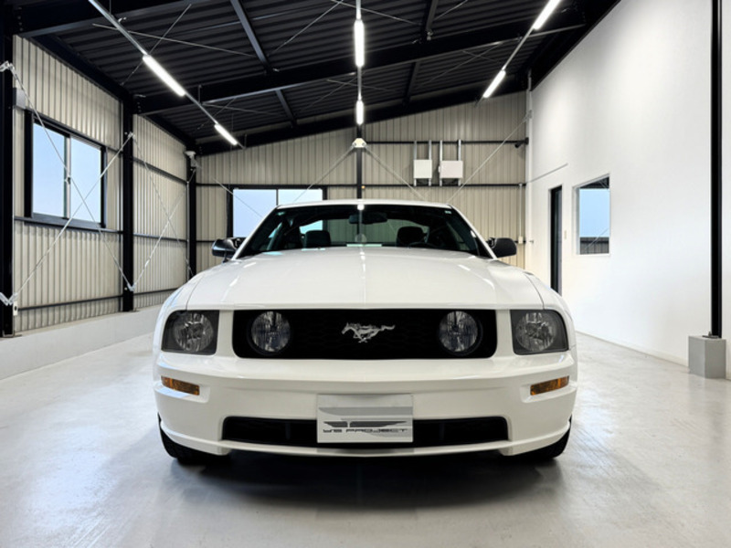 MUSTANG-3