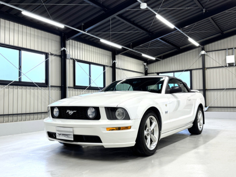 MUSTANG