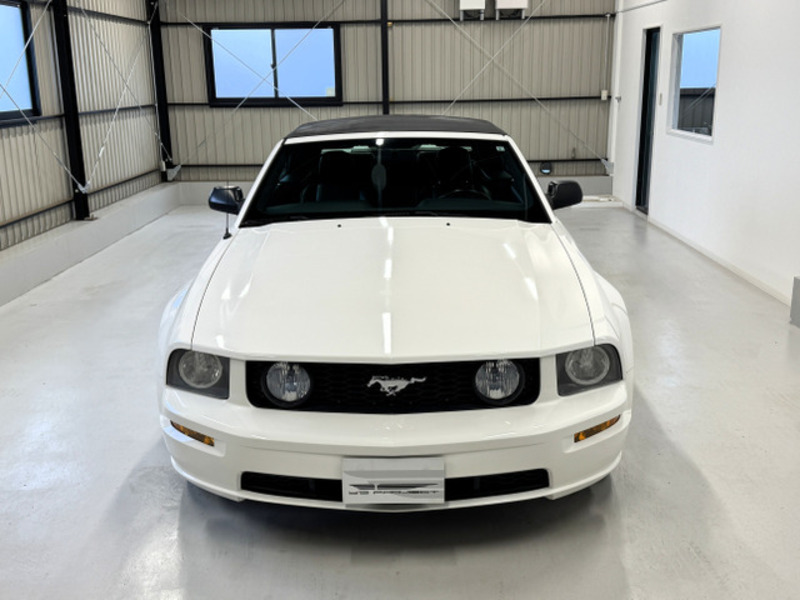 MUSTANG
