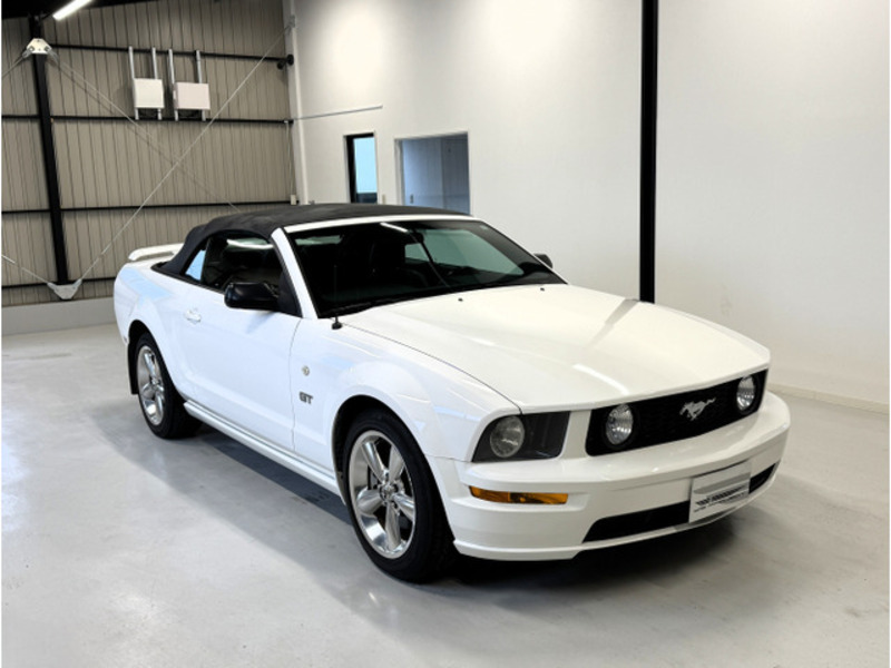 MUSTANG