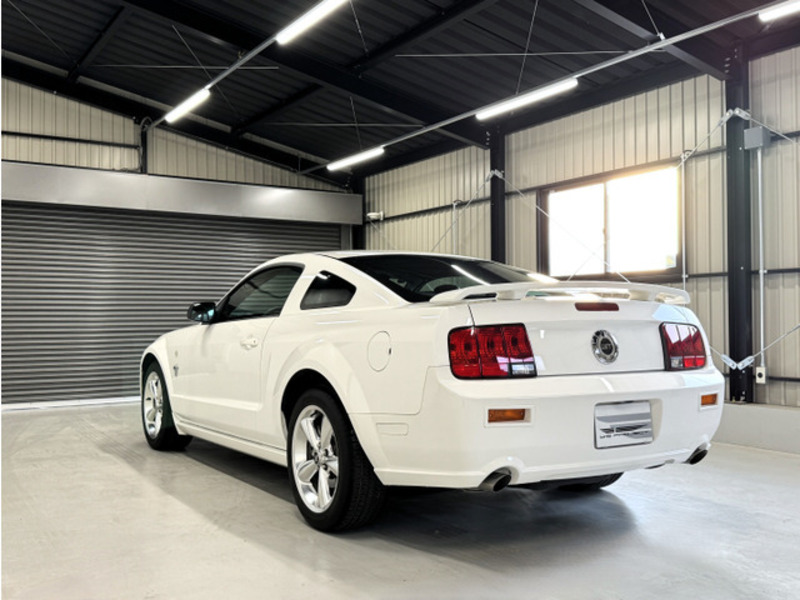 MUSTANG-10