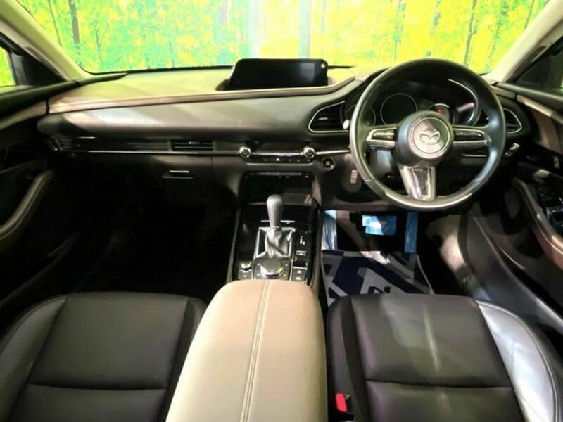 CX-30