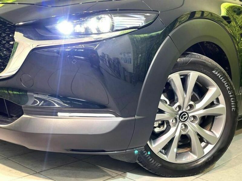 CX-30
