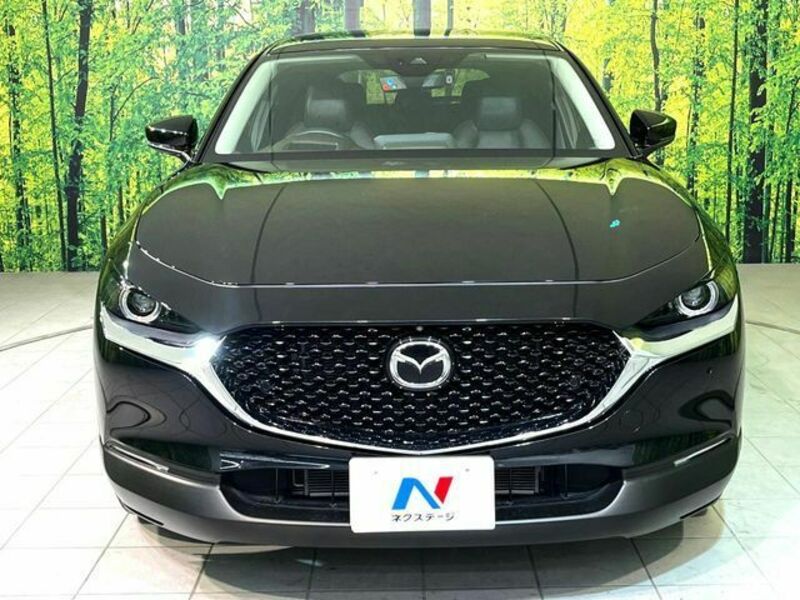 CX-30