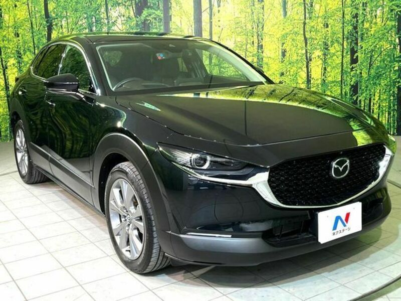 CX-30