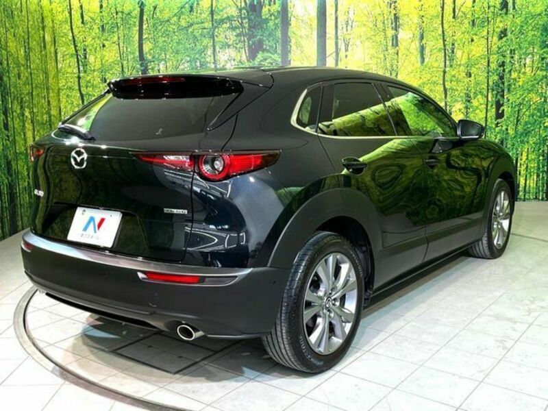 CX-30