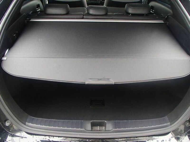 PRIUS-13