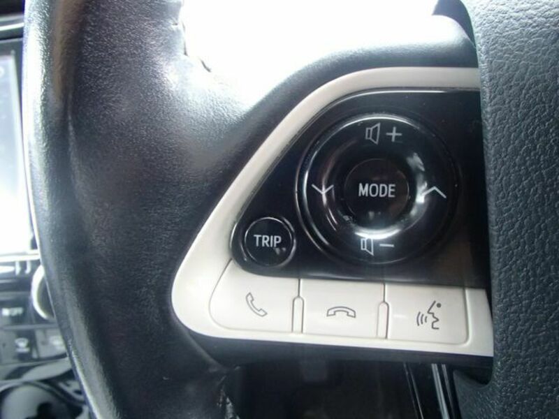 PRIUS-16