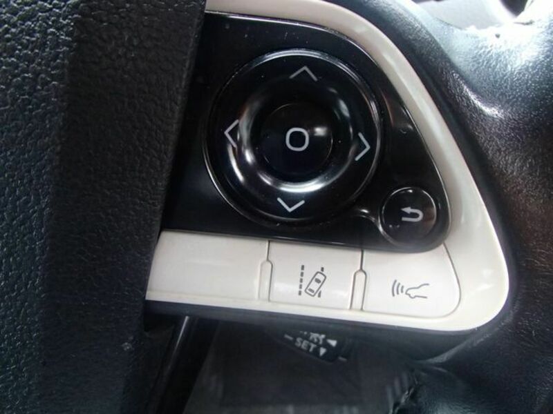 PRIUS-17
