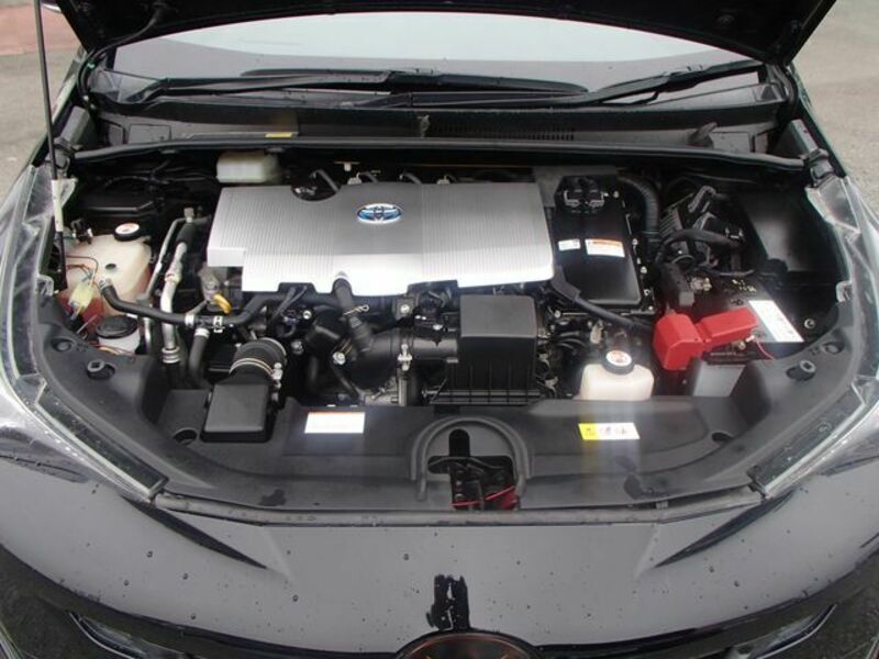 PRIUS-19