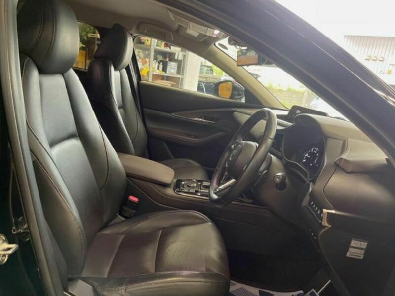 CX-30