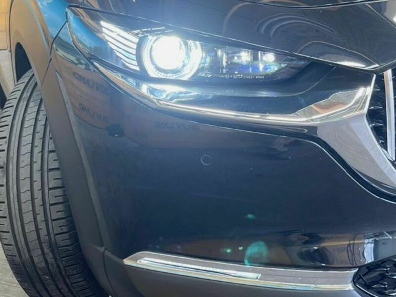 CX-30