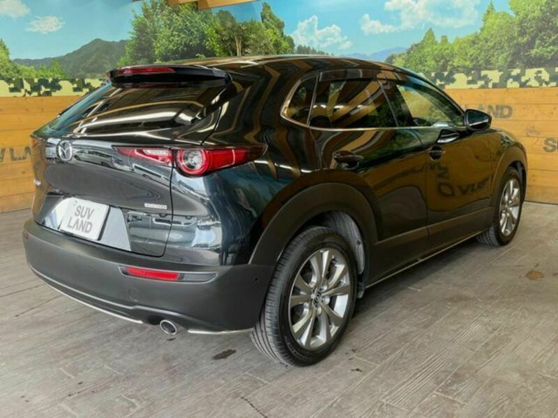 CX-30