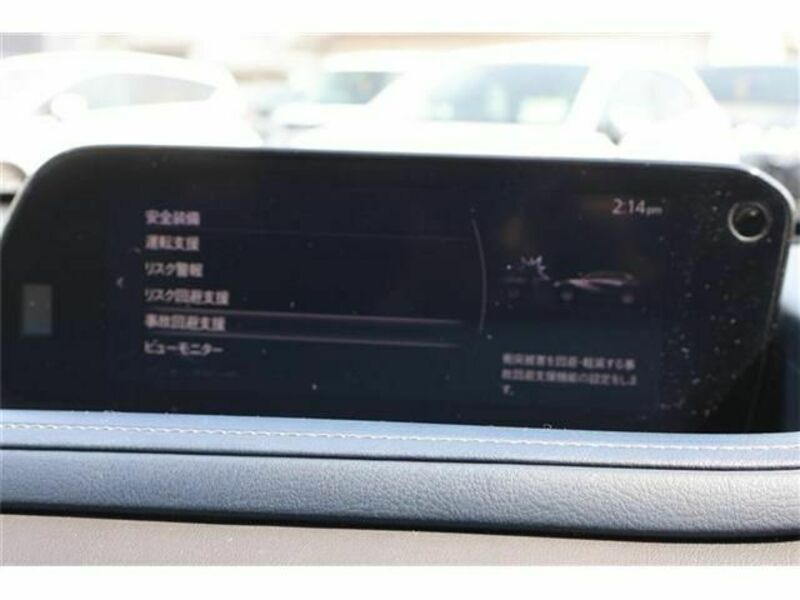 CX-30