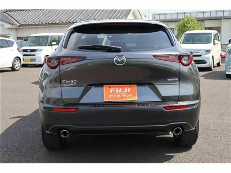CX-30