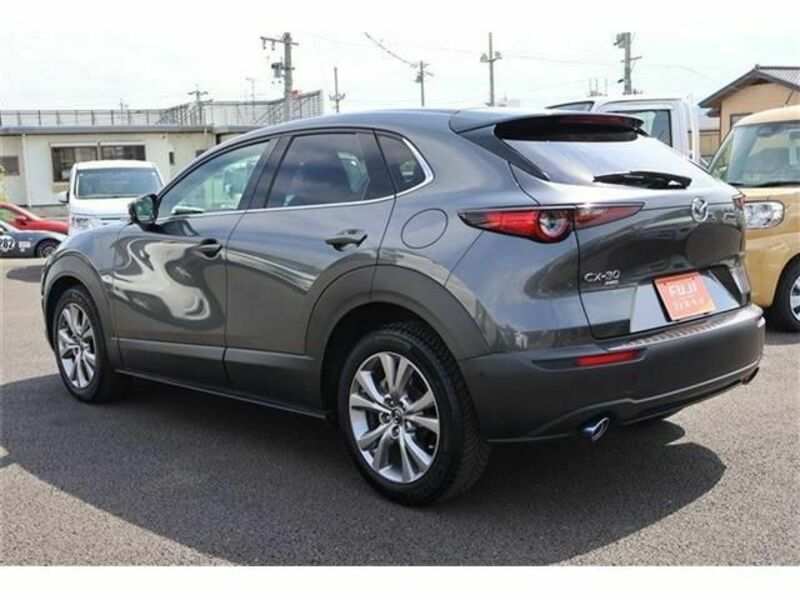 CX-30