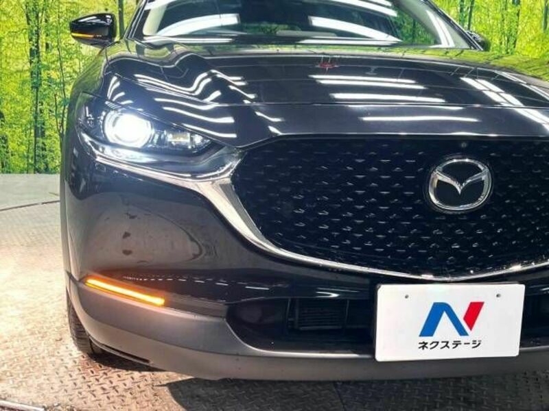 CX-30