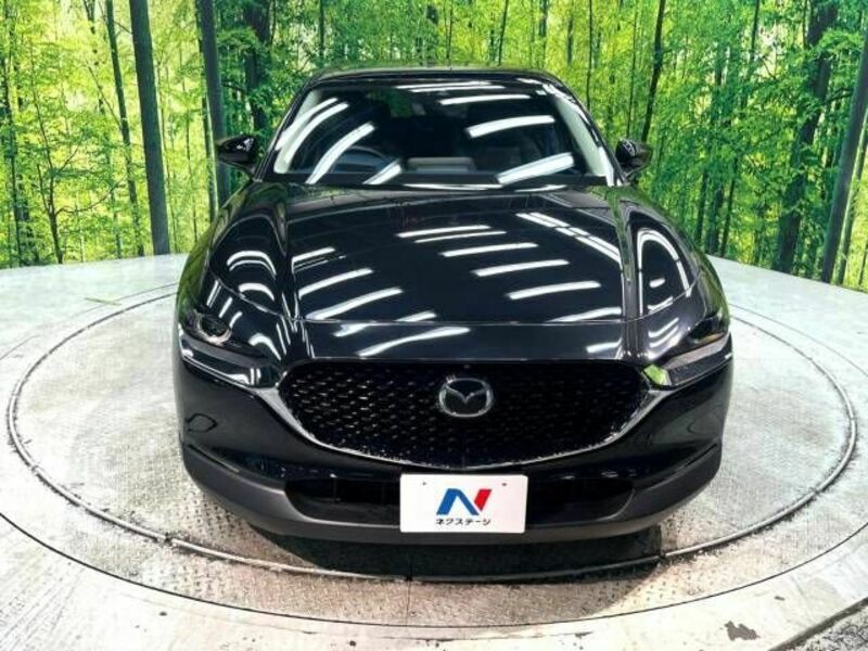CX-30