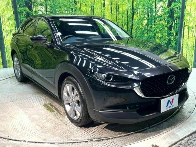 CX-30