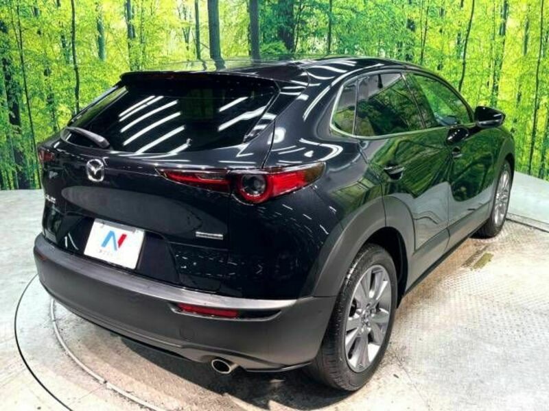 CX-30