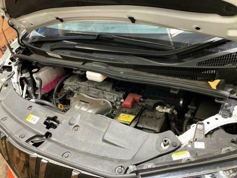 ALPHARD-17
