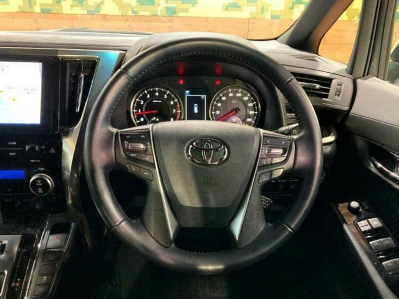ALPHARD-10
