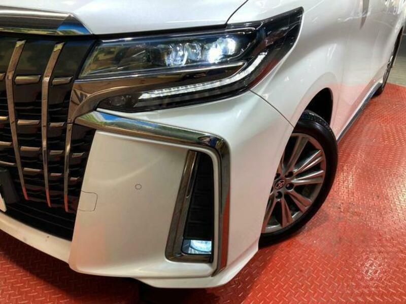 ALPHARD-11