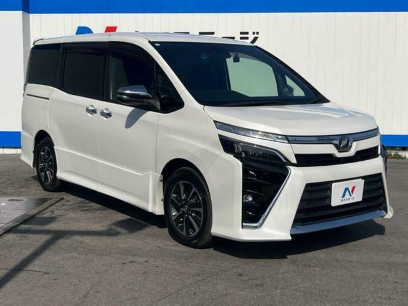 VOXY-18