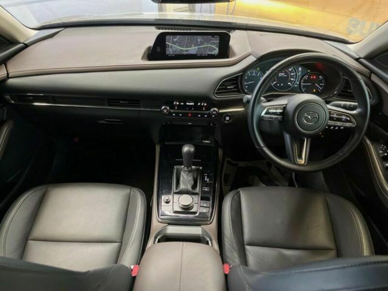CX-30-1