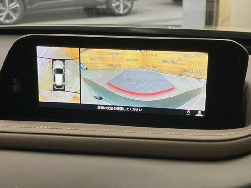 CX-30-3