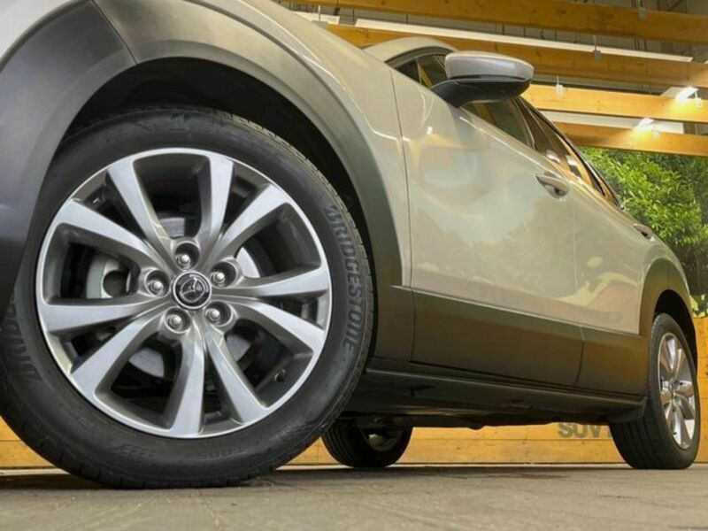 CX-30-13