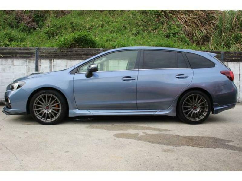LEVORG-10