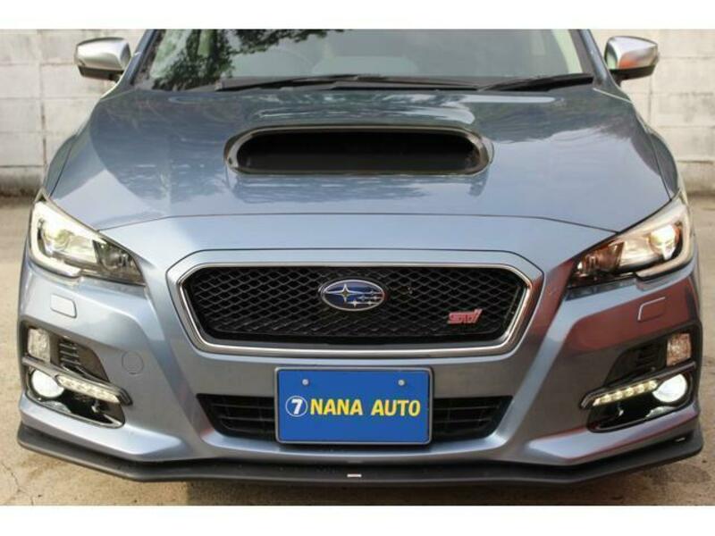 LEVORG-12