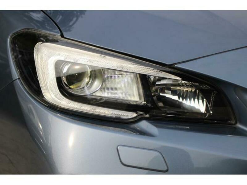 LEVORG-13