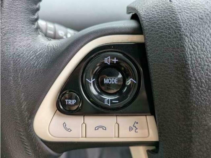 PRIUS-17