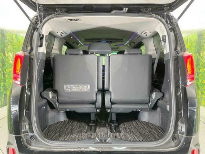 ALPHARD-10