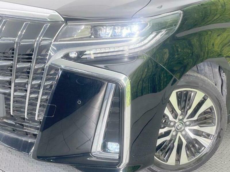 ALPHARD-12