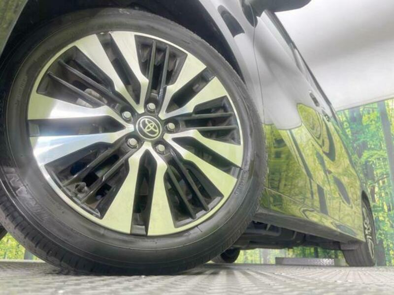 ALPHARD-13